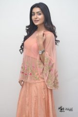 Avantika Mishra At Vaishakham Movie Success meet